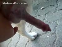 Red-haired Mexican bitch enjoys masturbating her dog&#039;s miniature rod